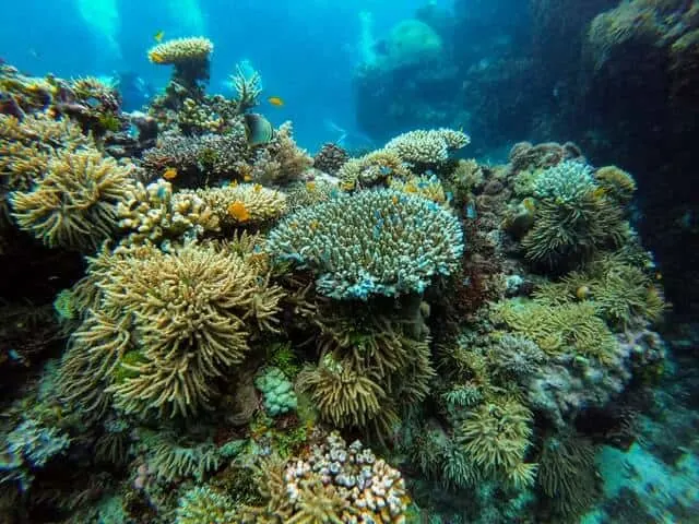 Great Barrier Reef