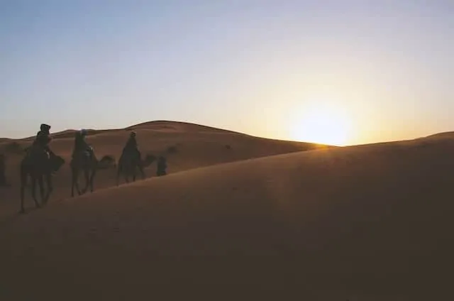 Sunset Camel Ride in Marrakesh