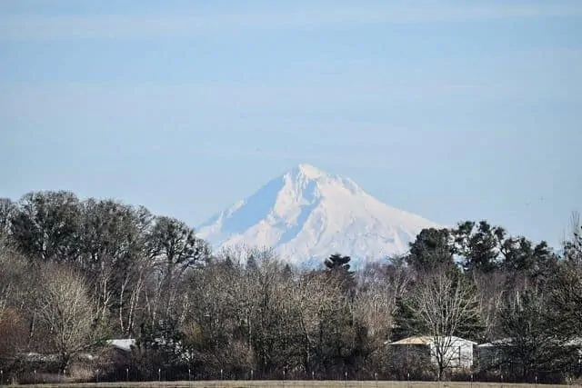 Mt Hood in Portland