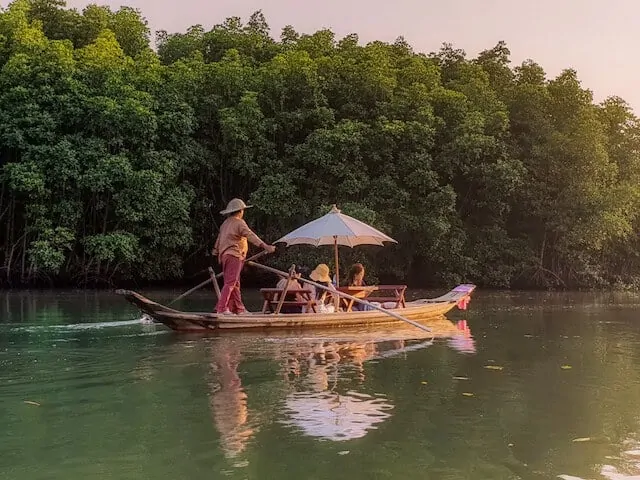 Salak Khok Mangrove Forrest