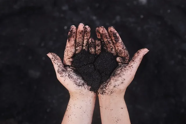 Hands holding back sand moulded into the shape pf a heart above a black sand beach