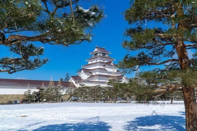 Tsuruga Castle