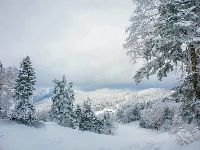 Zao Onsen ski fields, Tohoku region