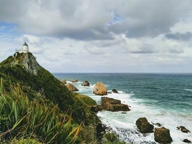 Nugget Point New Zealand