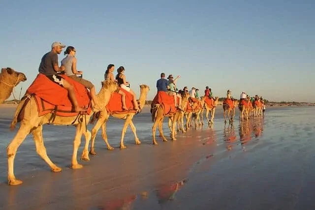 Camel Ride Cable Beach