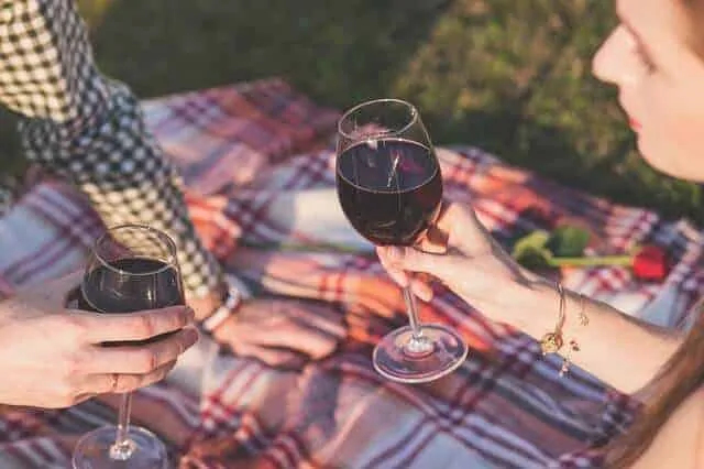 Picnic blanket with two people sat down holding two glasses of red wine in a cheers