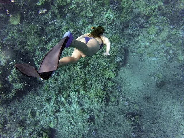 Woman in a bikin wearing a mask and snorkel swimming down towards the coral on the ocean floor