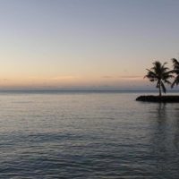 Samoa Travel Tips - sunset on the water with three palm trees on an island in the distance