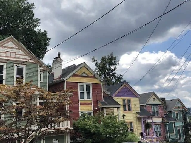 Cincinatti Painted Ladies