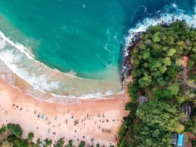 Top Down Aerial view of Jungle Beach - golden sand with people sunbathing in the bottom half of the image, turquoise blue waters in the top healf and plam trees aross the right side of the frame