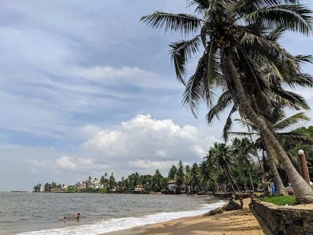 Bentota Beach in Sri Lanka has a slim sandy beach running along a raised brick wall which is topped with plam trees. The ocean on the right is calm with just a few white waves crashing on the shore
