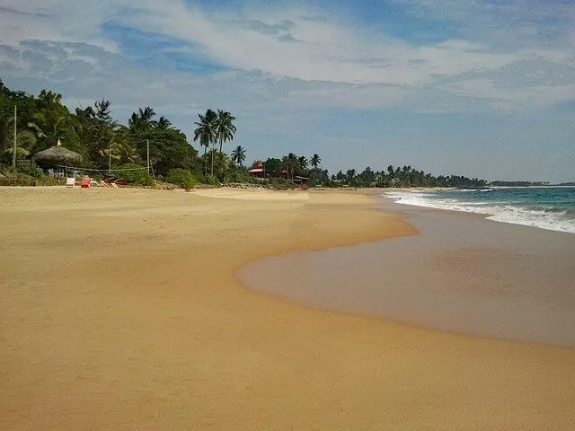 Hikkaduwa Beach - empty golden sands with lush vegetation in the background and calm waters and low tide to the right of the image