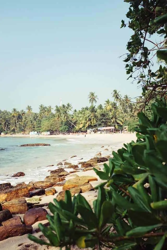 Hiriketiya Beach in Sri Lanka - image was captured from behind green plants in the foreground, behind which are rocks on the shoreline an the ocean on the left. In the distance the white sand beach stretches out and is fringed by tall green leafed plam trees