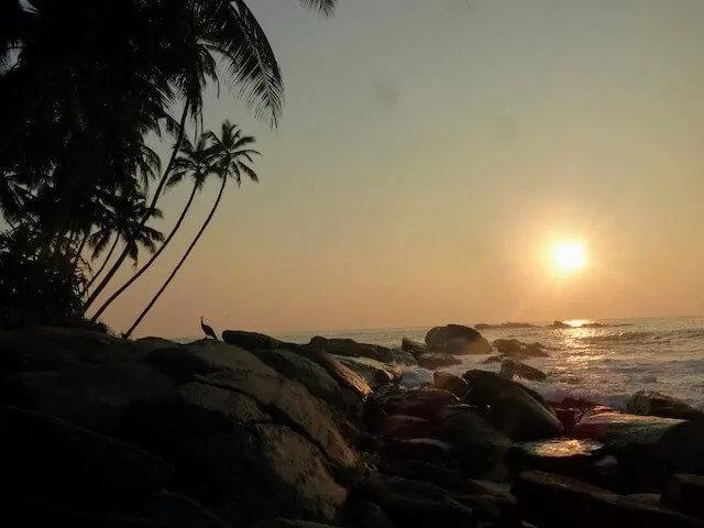 Pigeon Island Beach at Sunsetwith large smoth rocks in the foreground, choppy waters crashing into them on the right, sun just above the water line giving a golden glow and a peacock stood on the rocks in the distance.