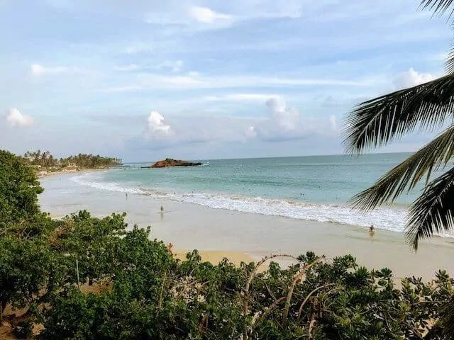 Trincomalee Beach on Sri Lanka's West Coast - photo taken from a higer point looking our over the palm trees with the beach and ocean behind that