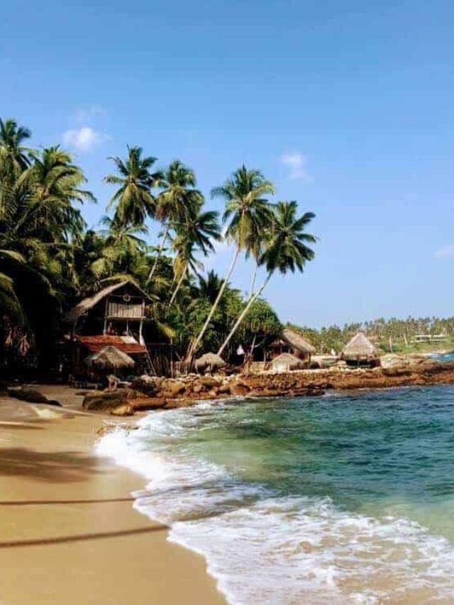 Best Beaches in Sri Lanka Story