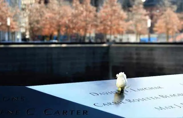 Single white rose above a name in focus at the 9/11 Memorial