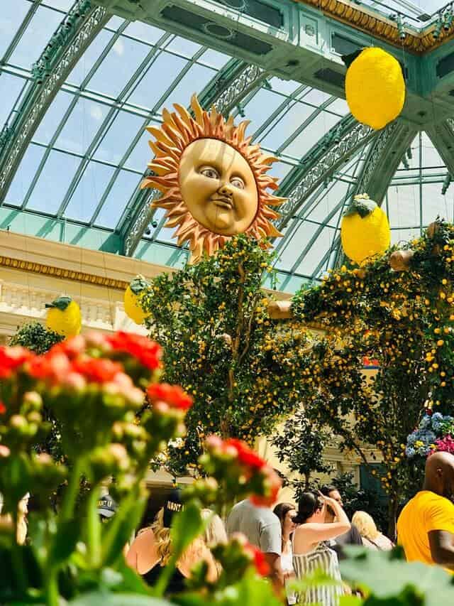 Botanic Garden Conservatory at Bellagio Las Vegas