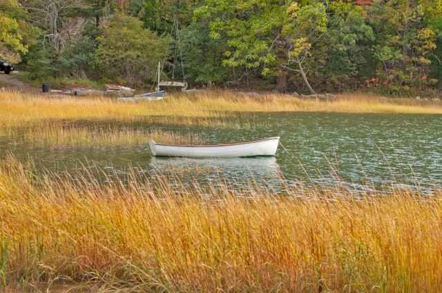 Quiet lake area, tall reeds along the shoreline, a small metal dingy floating in the middle of the bay