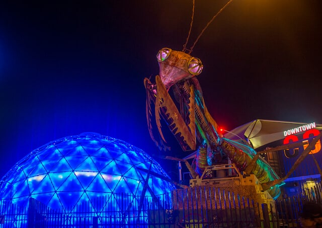 Praying Mantis at the Downtown Container Park Las Vegas