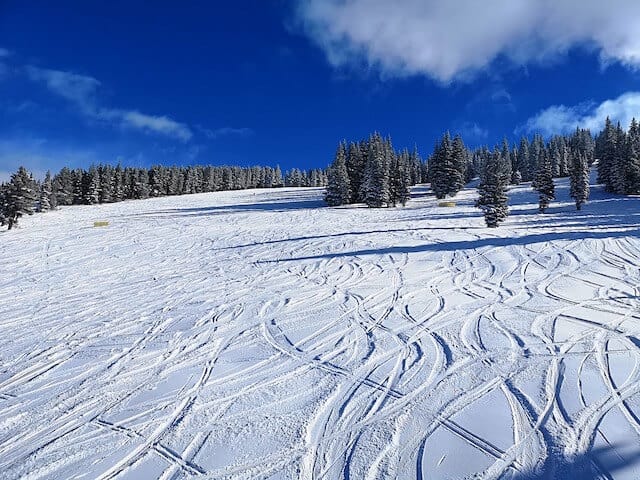 Vail Ski Fields