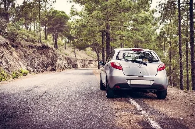 Small silver car parked off the side of the road in a forrest