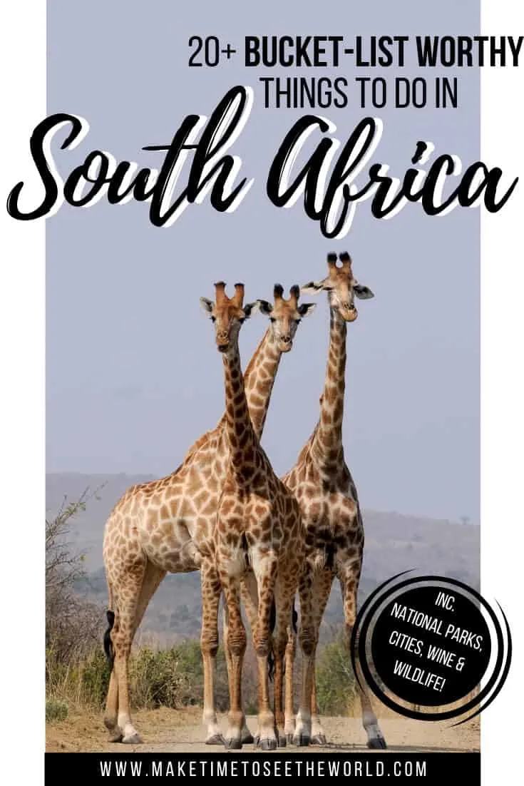 20+ Things to do in South Africa_ A Complete South Africa Bucket List