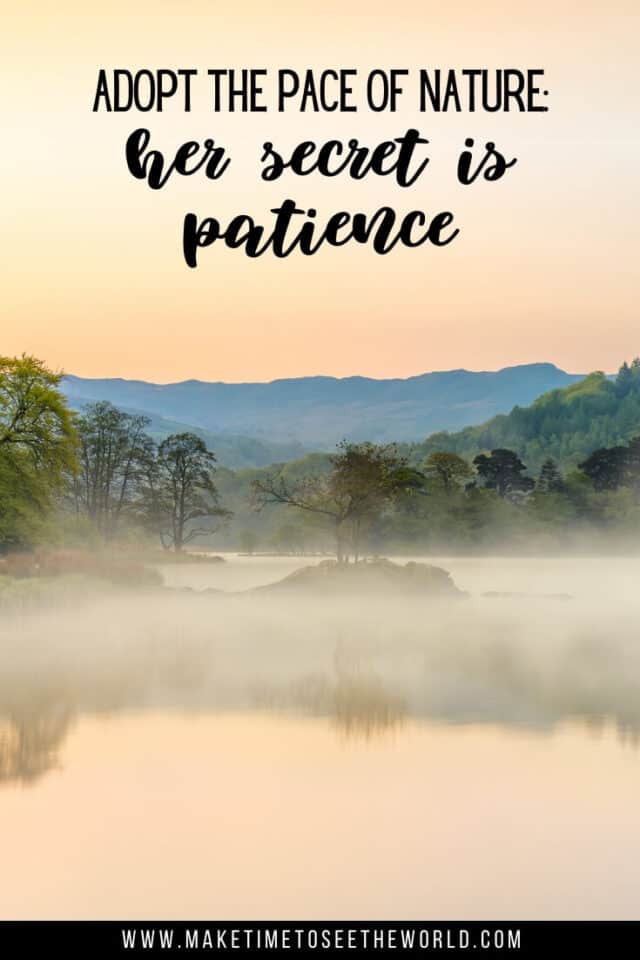 80+ Inspiring Quotes About Patience to improve Mindfulness