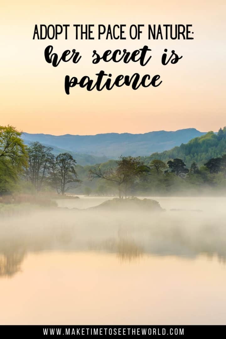 80+ Inspiring Quotes About Patience to improve Mindfulness