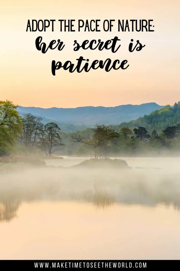 80+ Inspiring Quotes About Patience to improve Mindfulness