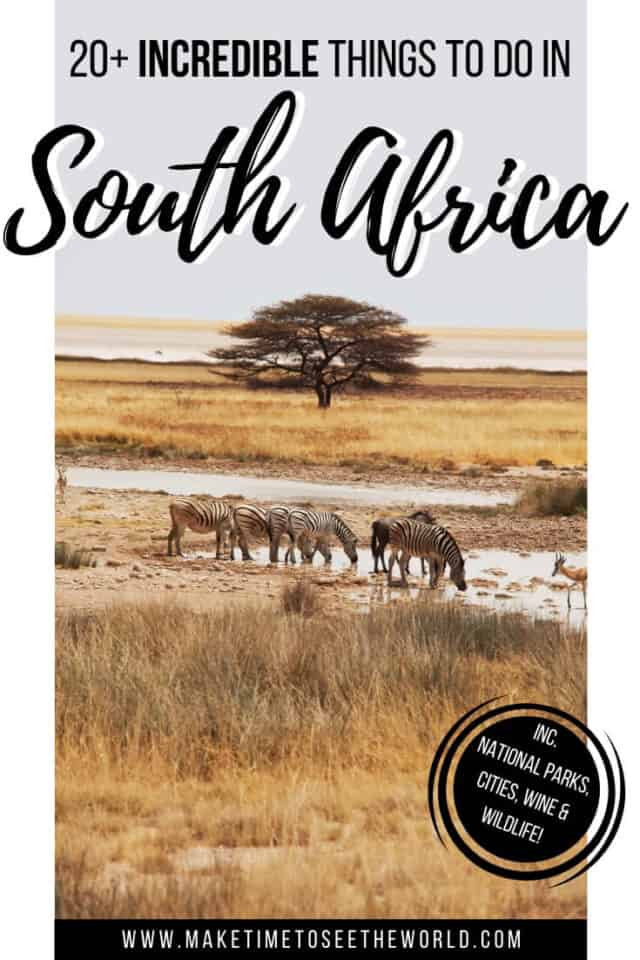 20+ Bucket List Worthy Things to Do in South Africa for First Timers!