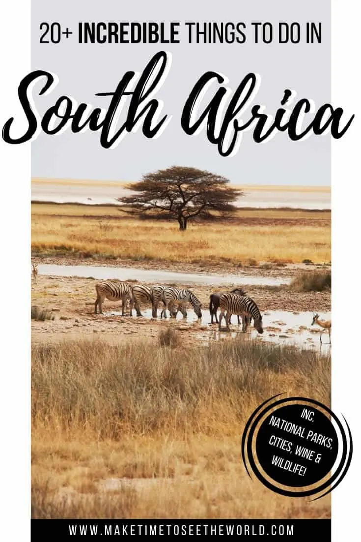 Things to do in South Africa_ A Complete South Africa Bucket List