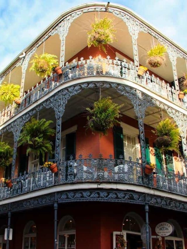 20+ AMAZING Things to do in New Orleans for First-Timers! Story