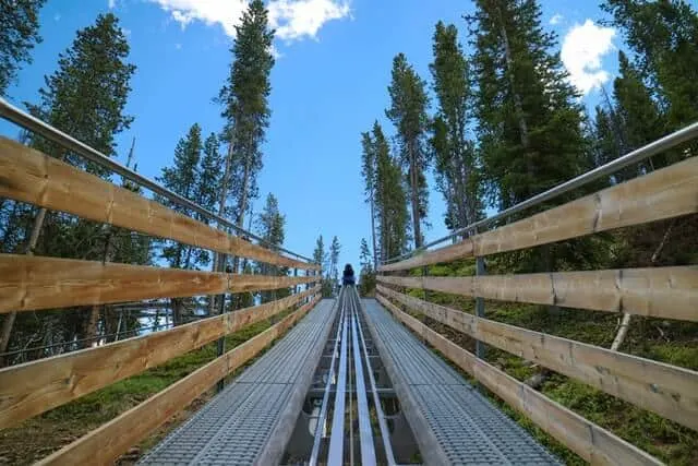 Point of view of someone at the front of the alpine coaster looking up along the central track and flanked by the wooden sides of the tracks