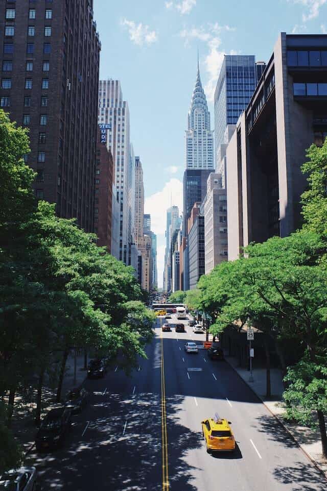 Tree lined street of New York City