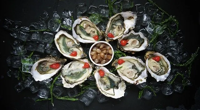 Mussels in their Shell laid out on a bed of ice