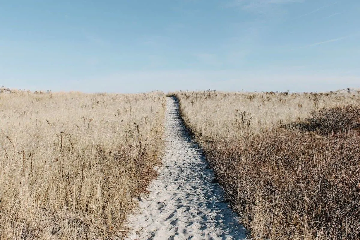 Top Explore Quotes to Inspire your Wanderlust cover photo of a sand path leading away from the front of the image with beige shurbbery either side