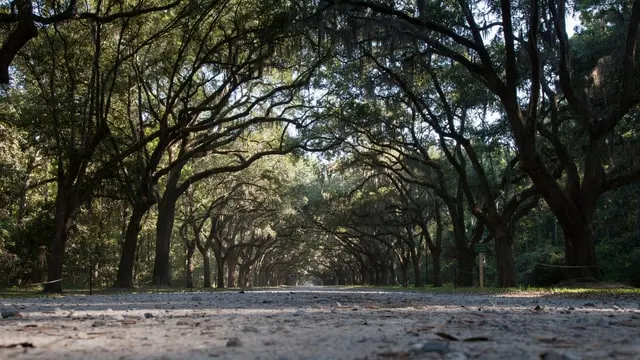 Wormsloe Historic Site