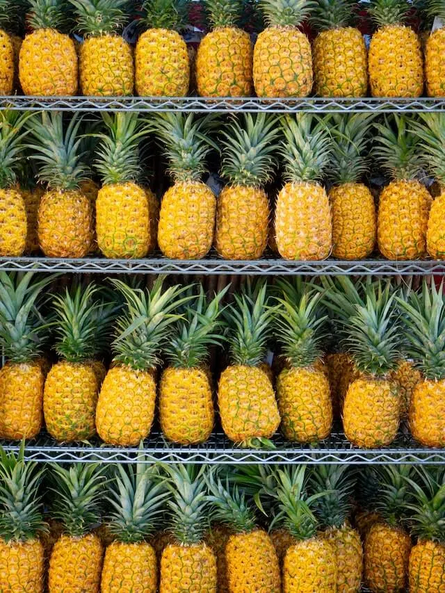 4 metal shelves full of pineapples in Maui