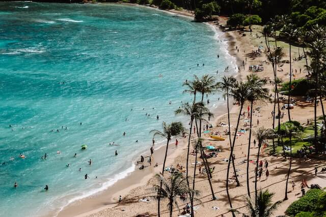 Busy beach dotted with palm trees on Oahu