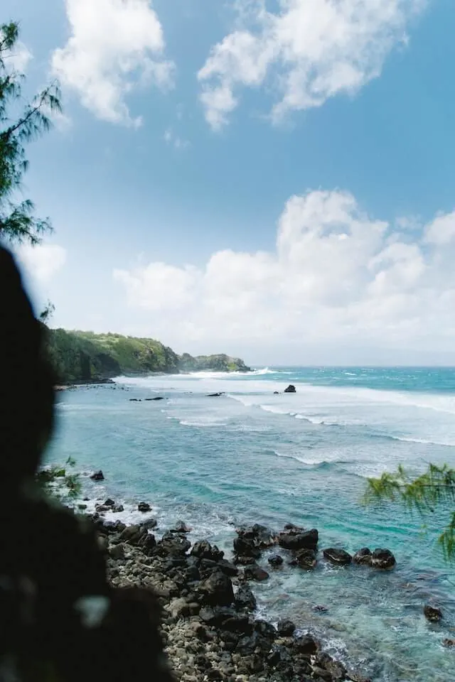 Honolua Bay Maui