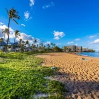 Maui Travel Guide - Best things to do in Maui- Beach front on Maui with hotels and villas along the coast