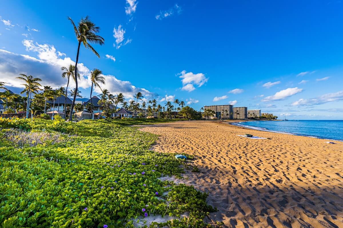Maui Travel Guide - Best things to do in Maui- Beach front on Maui with hotels and villas along the coast
