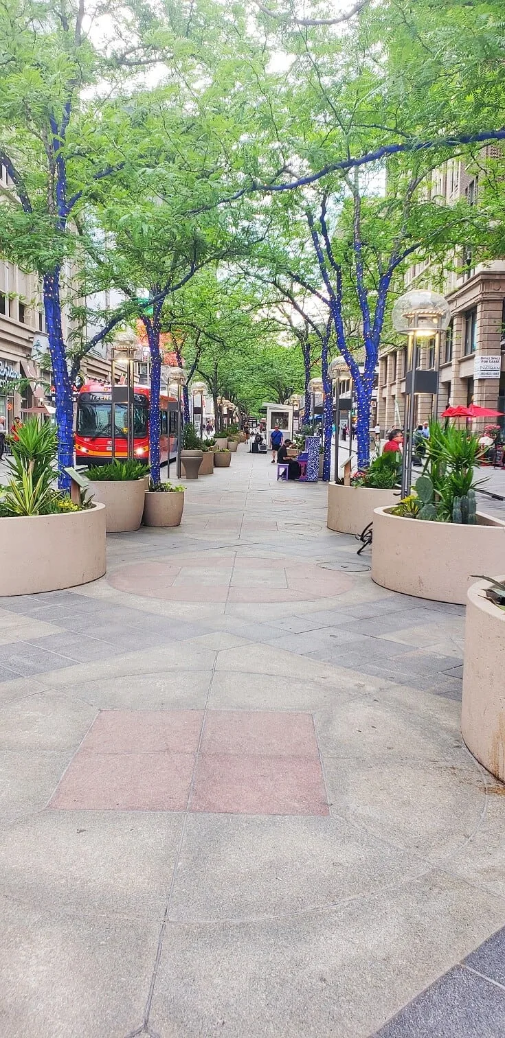 Paved area of 16th Street Mall with round equdistant plant beds running either side interspersed blue trees covered in fairy lights with a red bus in the background on the left