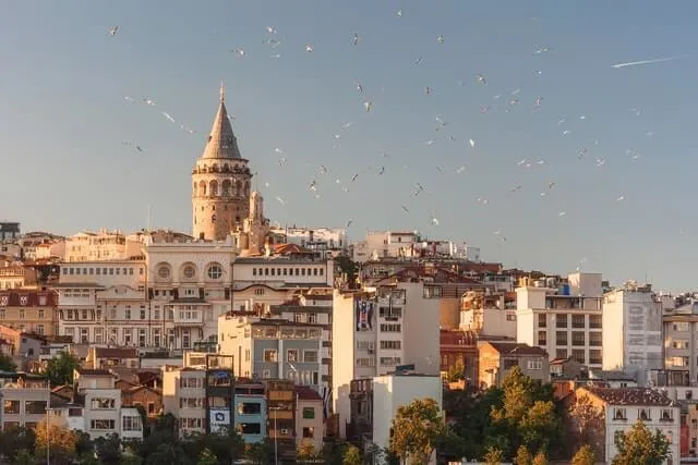 city of Istanbul rising up the hill with the rounded Galata Tower standing tall at the top with multiple birds in the sky in the foreground