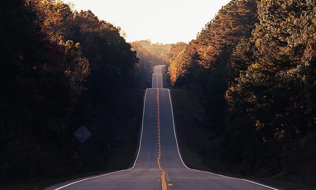 Header image for the Road Trip Quotes to Inspire You to Hit the Road showing a road running down the center of the image, surrounded by deep green trees