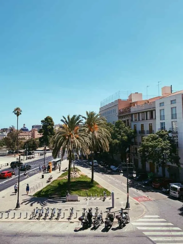 Street scene in Valencia featuring buildings next to a road with a traingle of green glass with two palm trees at the center of the image, bordered by push bikes for hire