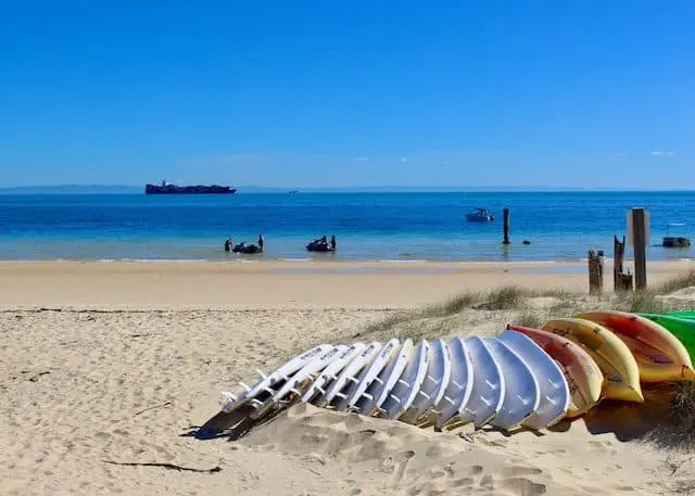 Surfboards leaning side by side on the beach at the front of the image with the ocean in the background