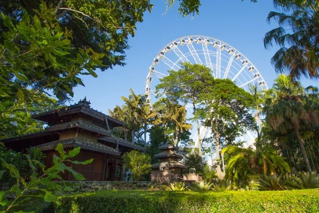 South Bank Parklands green space with a white ferris wheel in the background