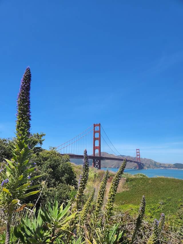 View of Golden Gate Bridge from Presidio
